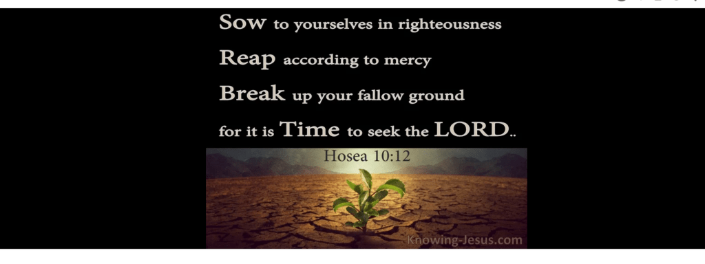 Title: Break Up The Fallow Ground: Exposing the things that has been deeply rooted, Verse: Hosea 10:12