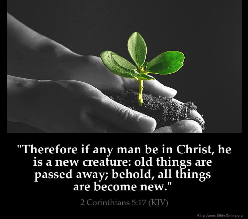 New Creatures in&nbsp;Christ