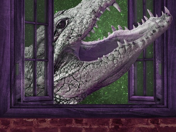 Dreamweaver 11/16/2023