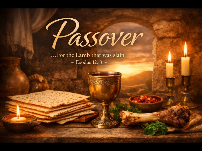 The Appointed Time: This Night Is&nbsp;Different